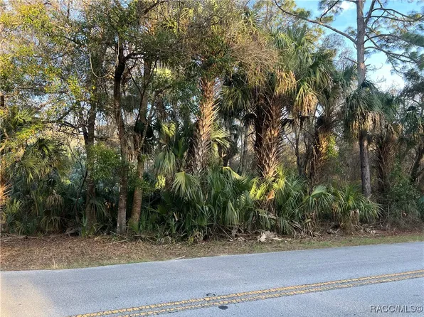 8523 N Basswood Ave, Crystal River, FL 34428