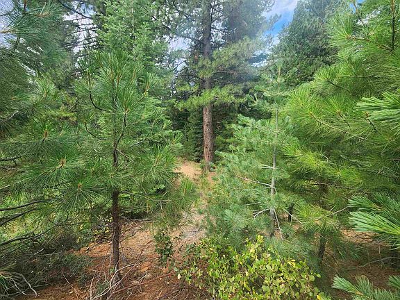 2nd image of 172 Fox Crest Dr