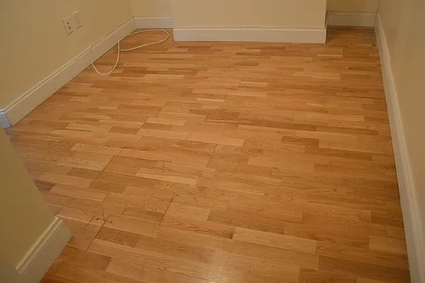 Rented by CoSo Apartments | media 21