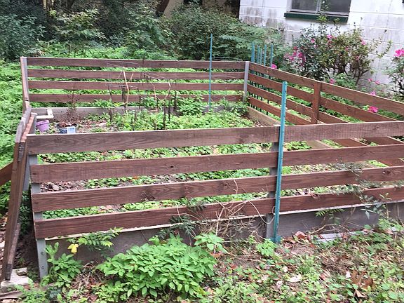 organic garden in back