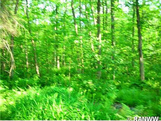 2nd image of 0 Belvidere Road
