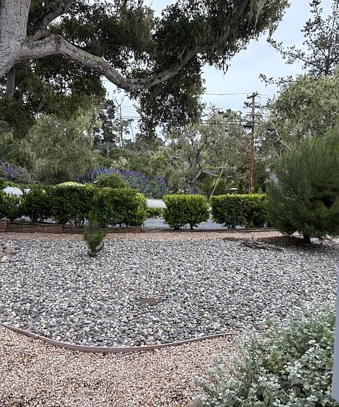 View from front door.