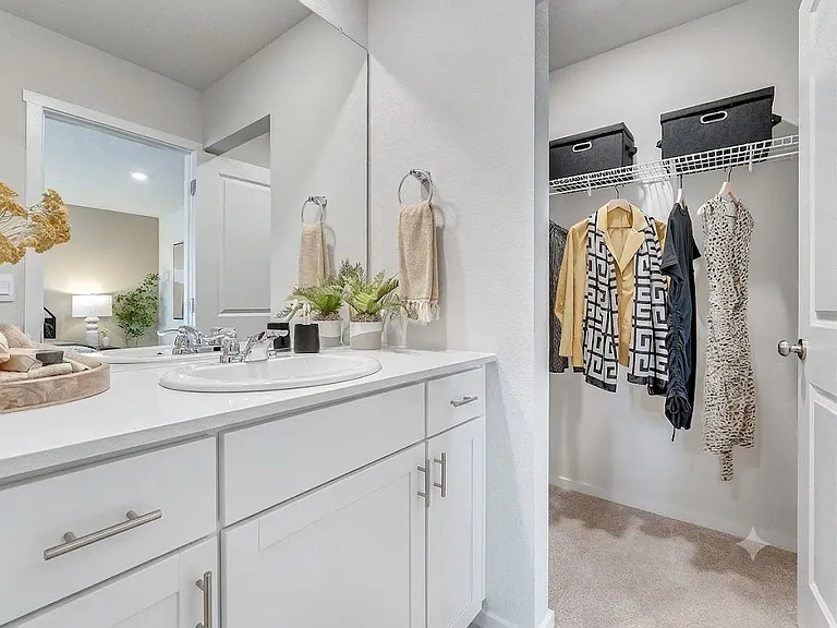 Master Bath and Walking Closet