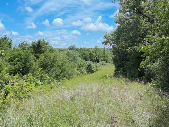 990 Wolfe Rd, Falmouth, KY 41040