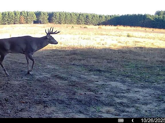 2nd image of 000 CAMBRIDGE ROAD