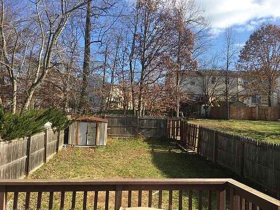 Back yard