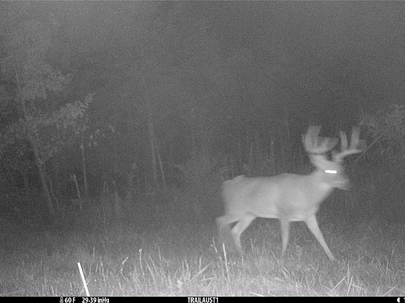 5th image of 16153 Monroe County Rd #743