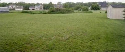 3rd image of 3585 Canton Dr