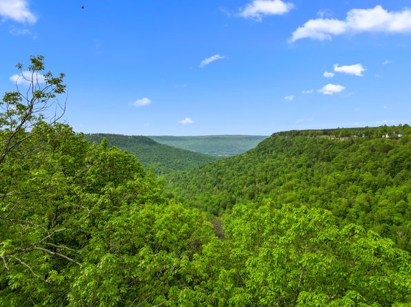 235 Pine Knot Pass, Jasper, TN 37347