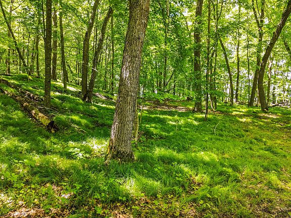 4th image of 44698 Idas Rd