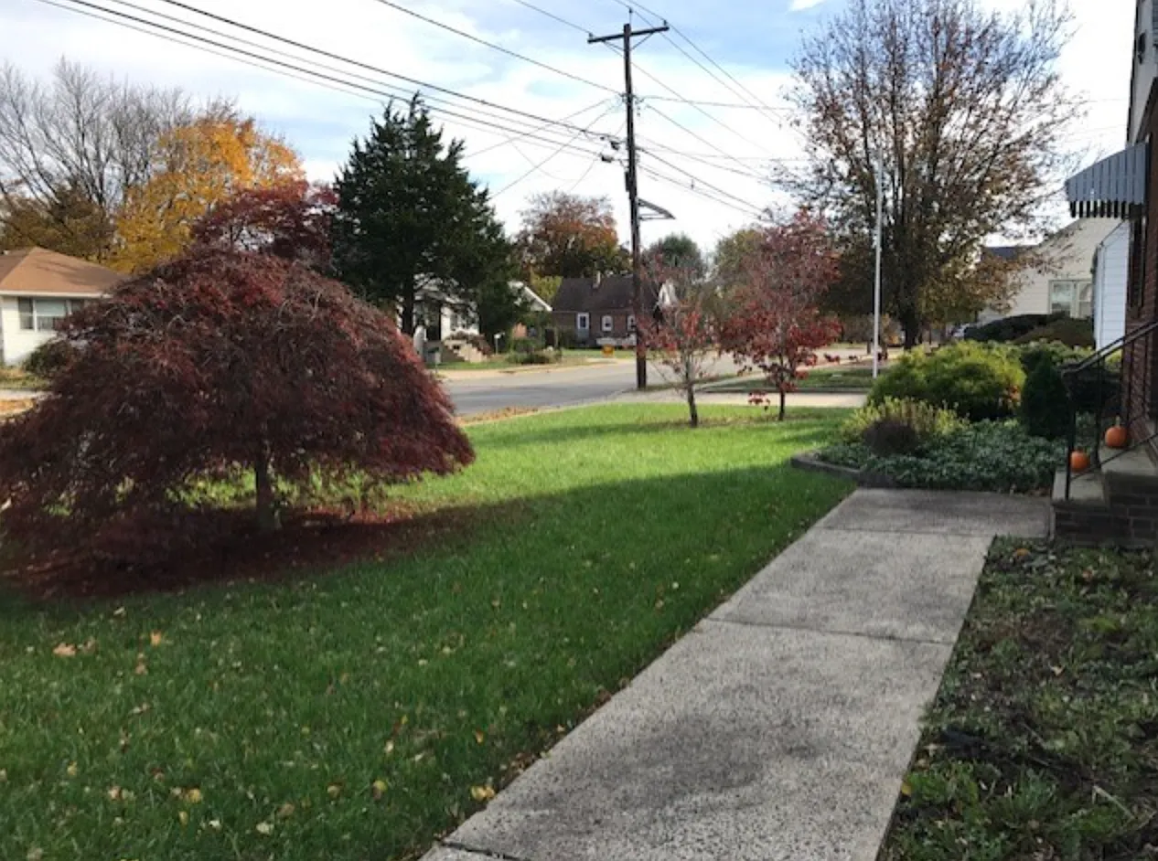 1 bed, 550 sqft, $1,100 — Photo 4