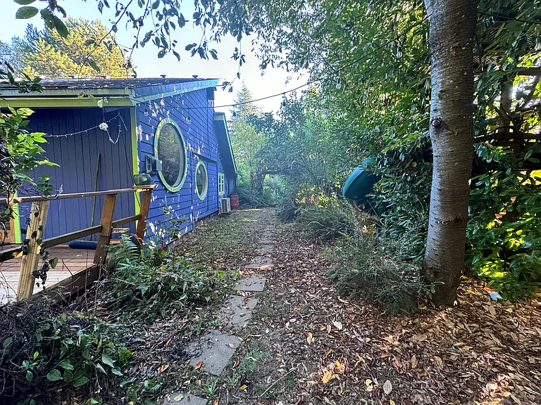 Backyard leading to hidden tree house and slide.