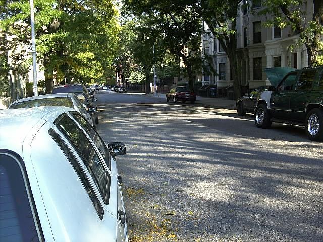Treeline Street