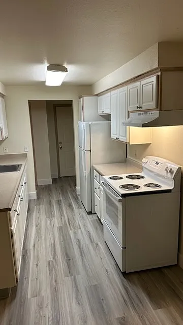 Holgate Commons Apartments — Photo 3
