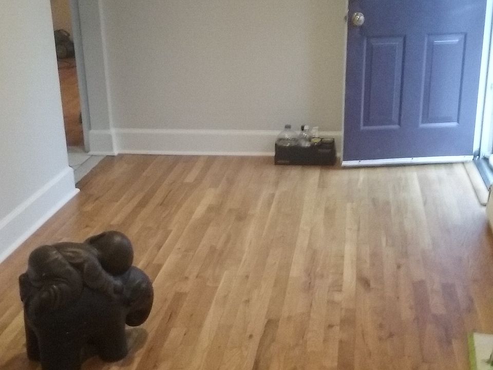 Entrance / living room empty