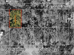 931 Estelle Ave LOT 9, Brandon, FL 33511