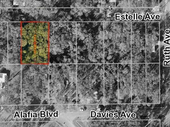 931 Estelle Ave Lot 9, Brandon, FL 33511