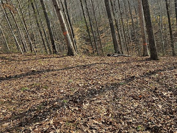 2nd image of 43 High Ridge Way