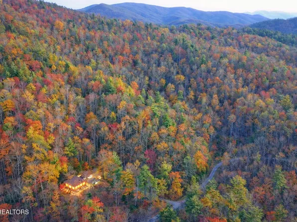 132 Sugar Maple Way, Del Rio, TN 37727