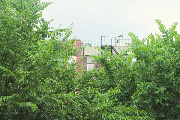 Rented by Urban Real Estate Inc | media 11