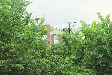 Rented by Urban Real Estate Inc