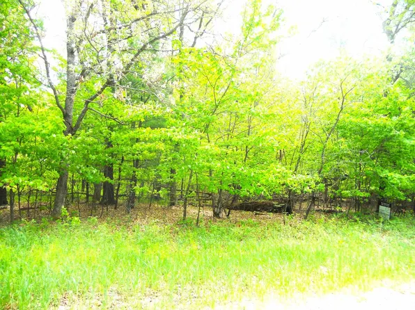 1.34 AC Czech Drive, Friendship, WI 53934