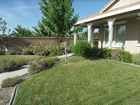 Front Yard 2
