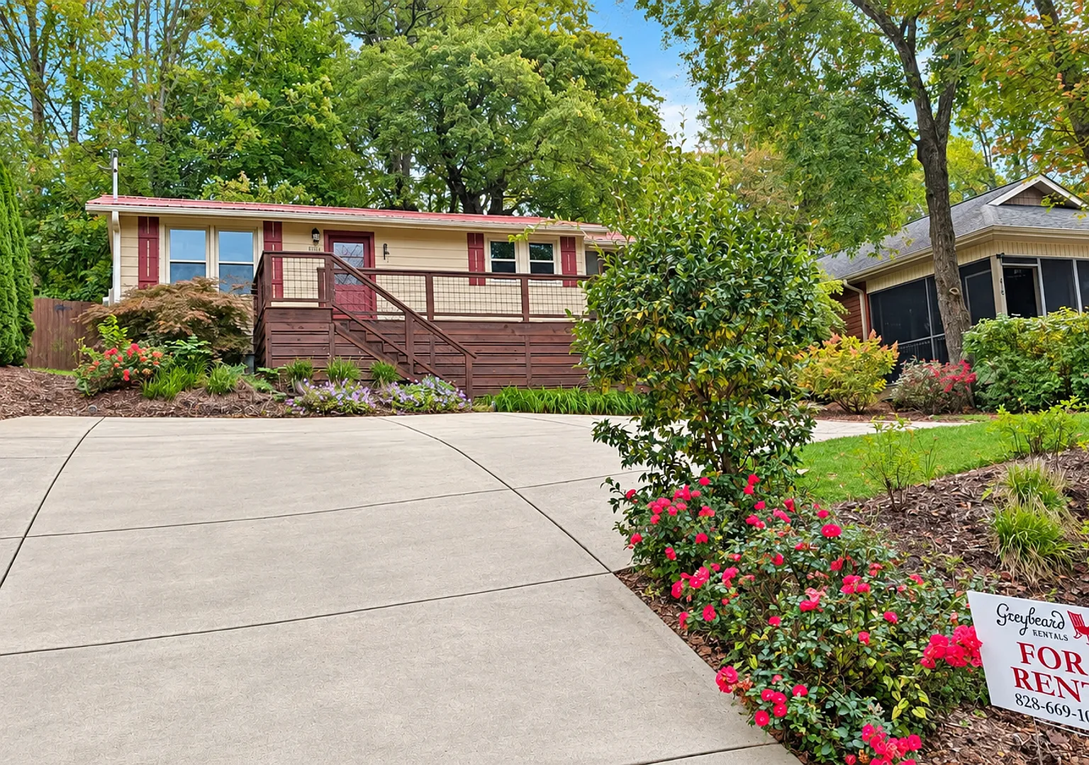 Charming Black Mountain Cottage! — Photo 2