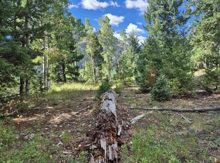 Blk 89 Lots 4-6, Jasper, CO 81144