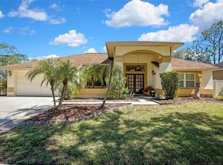 9304 Rockrose Dr, Tampa, FL 33647