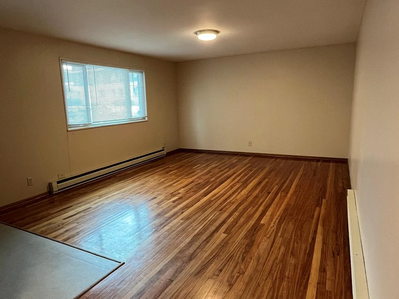 Studio, 401 sqft, $975 — Photo 2