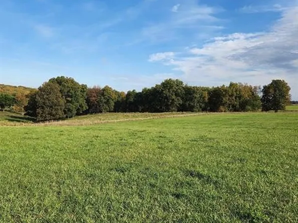 Burr Oak Rd, Mineral Pt, WI 53565