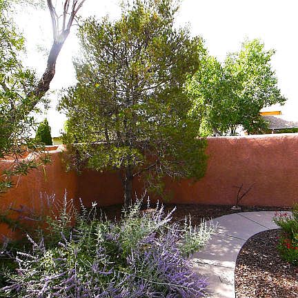 3rd image of 6601 Las Casitas Ct NW