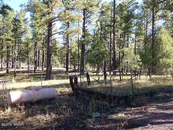 4th image of 212 County Road 2108