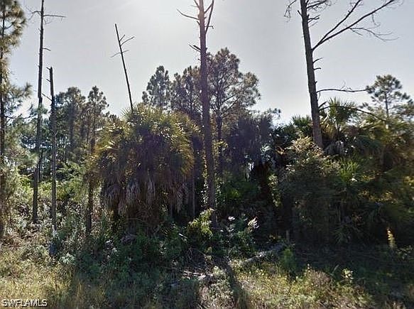 2nd image of Corner Lot