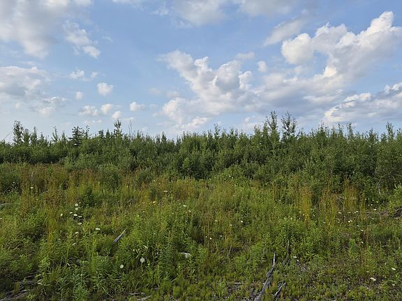 4th image of V/l Black Bear Hwy