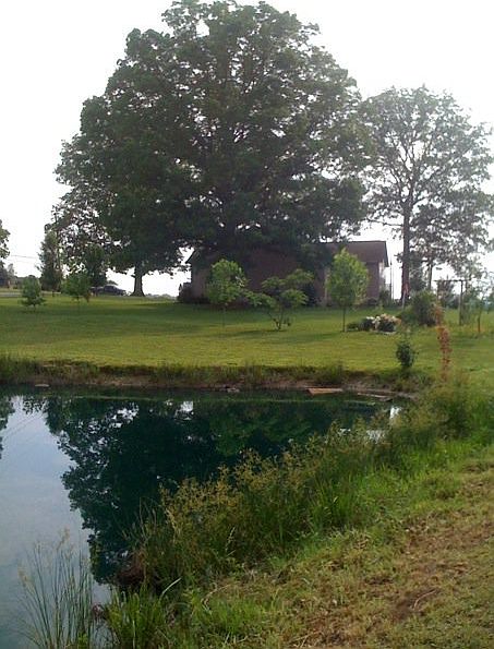 2nd image of 906 Grace Hill Dr