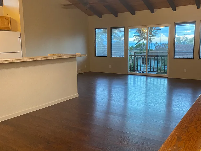 3882 Mahinahina St — Photo 4