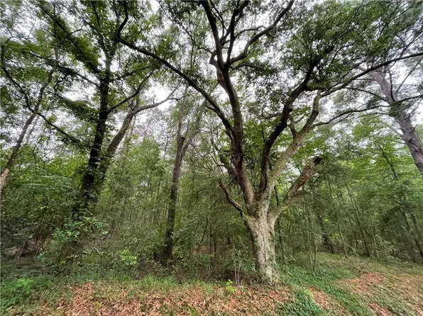 Bruhl Rd, Folsom, LA 70437