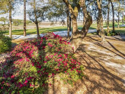 Lot 46 Widgeon Dr., Pawleys Island, SC, 29585