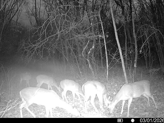 5th image of (Undisclosed Address)