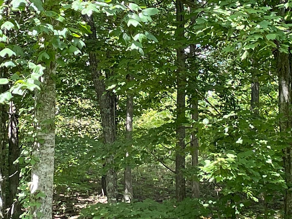 1st image of 0 Roaring Creek Rd #296