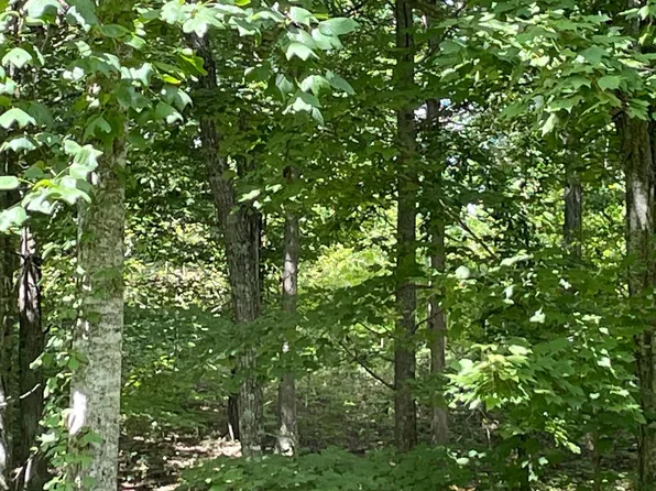 0 Roaring Creek Rd #296, Dunlap, TN 37327