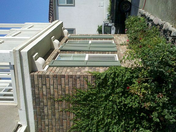 Rose bushes under balcony