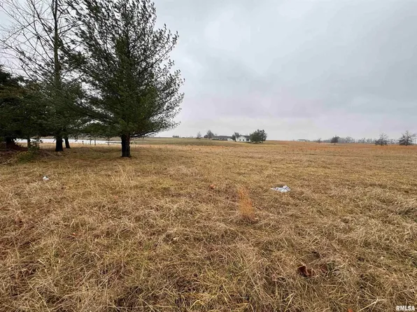 LOT 1&2 Raleigh Rd, Eldorado, IL 62930