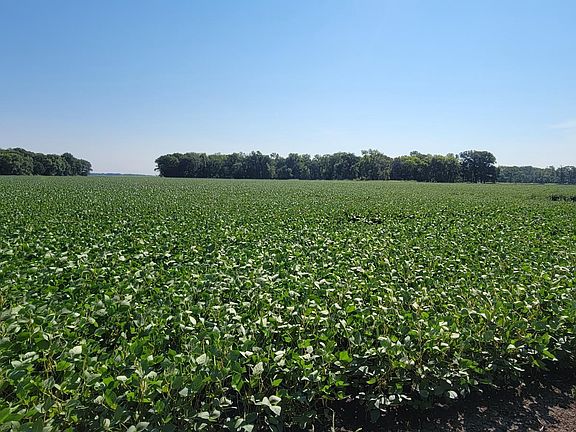3rd image of 0 Rural