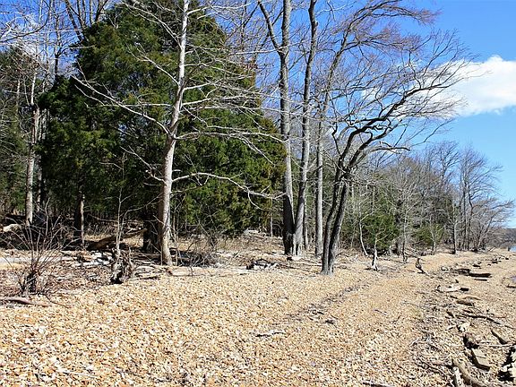 4th image of 572 Eagle Shore Dr Lot 3