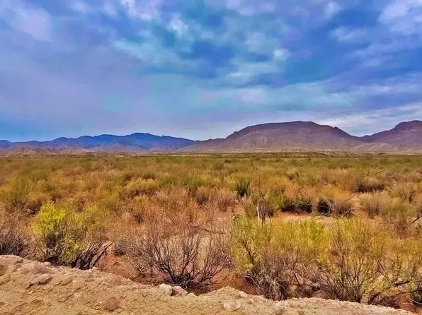 None, Valentine, TX 79854