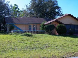 11038 Upton St, Spring Hill, FL 34608