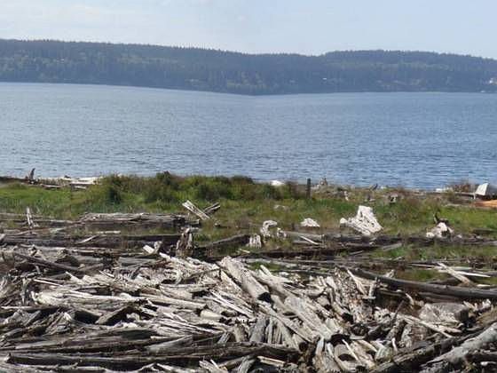 1st image of 4004 Pebble Beach Dr